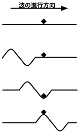 横波の模式図