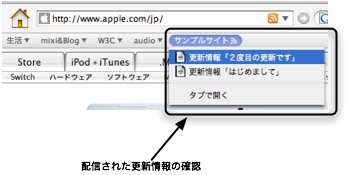 ブラウザでの表示サンプル